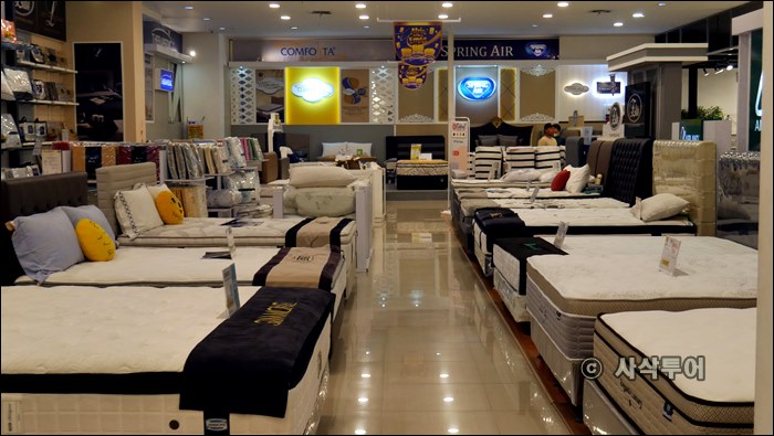 mitra 10047.JPG
