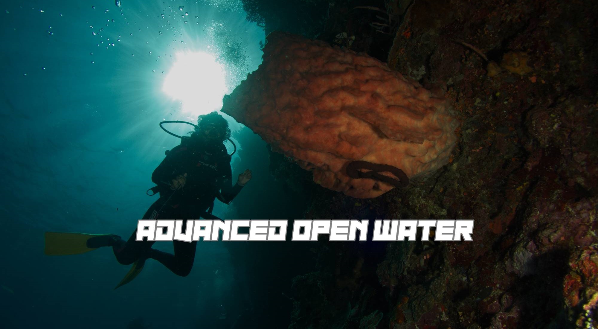 advancedopenwateradvancedopenwaterIMG_6799-1.jpg