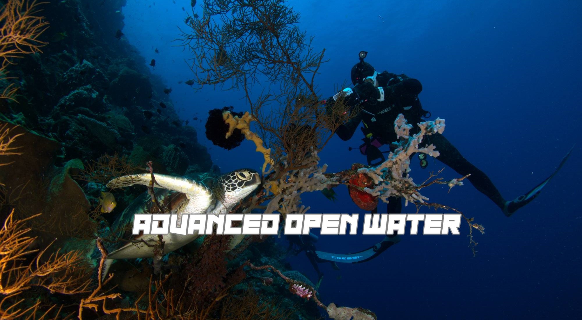 advancedopenwateradvancedopenwaterIMG_6905.jpg