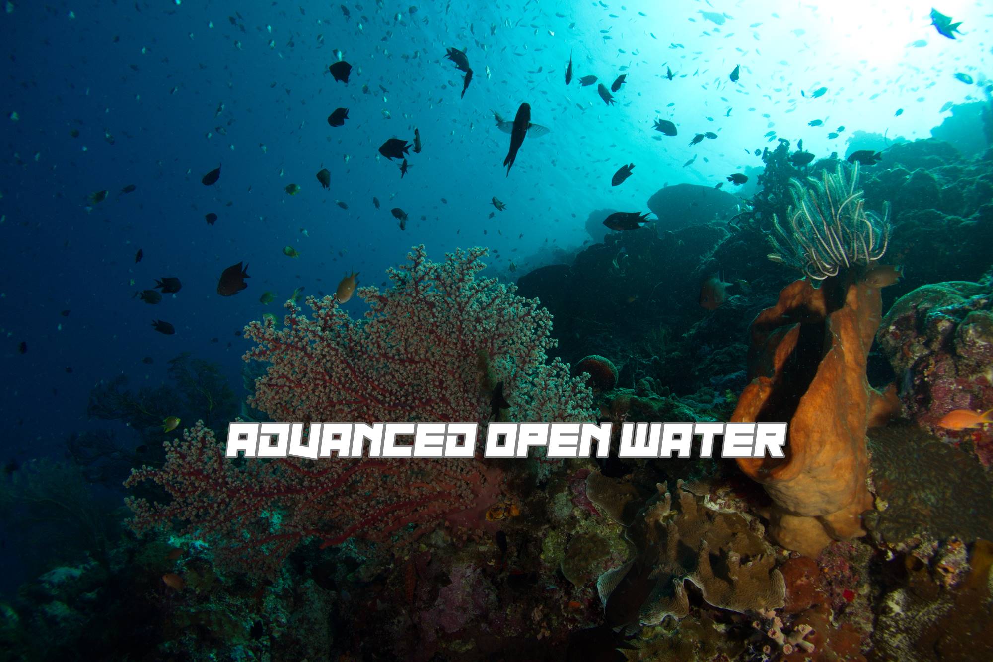 advancedopenwaterIMG_6830-1.jpg