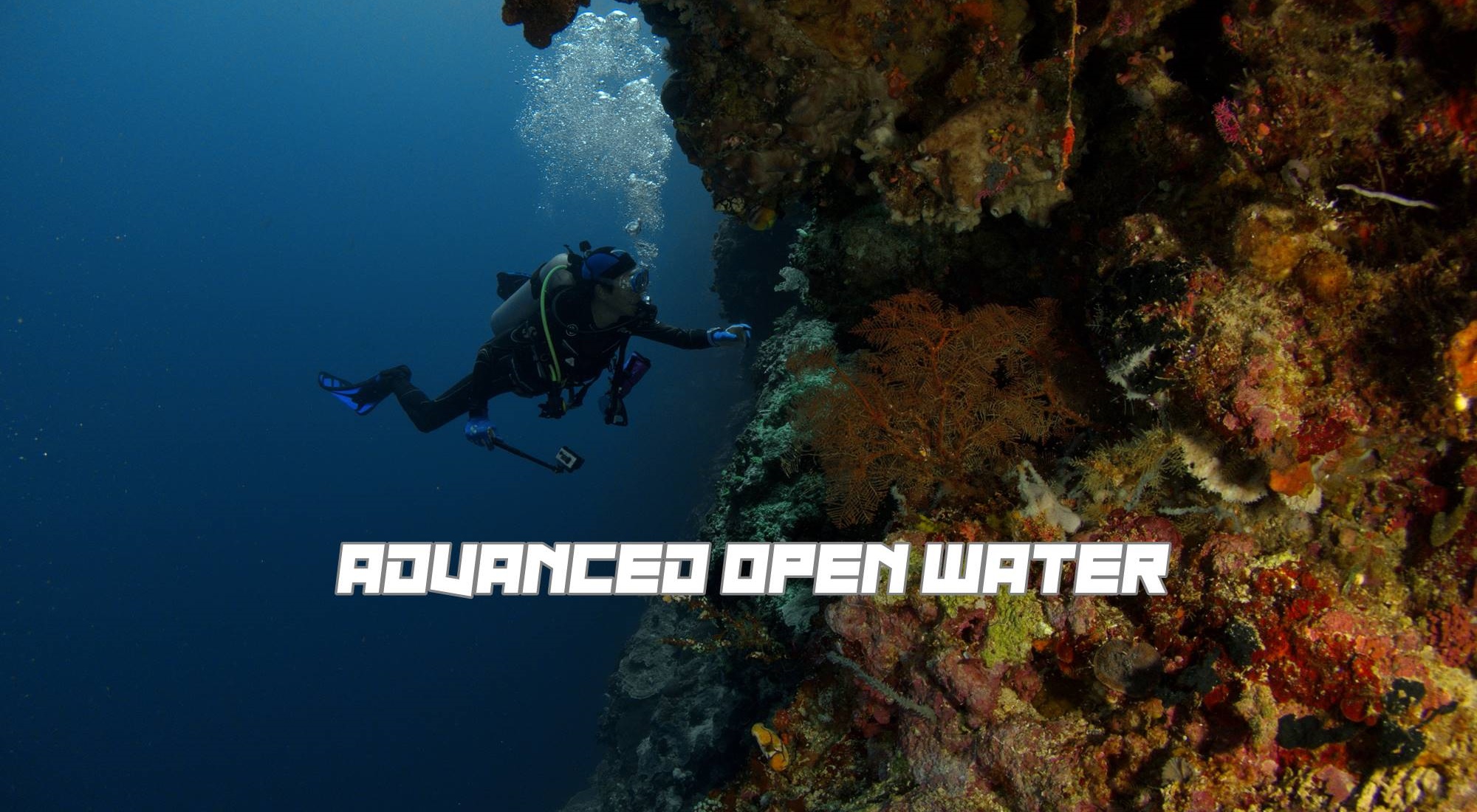 advancedopenwateradvancedopenwaterIMG_6777.jpg