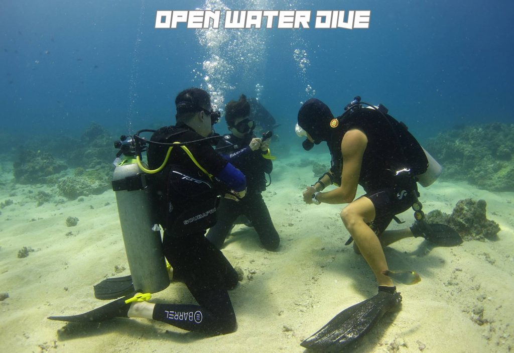 OPENWATERDSC05490-1024x703-1.jpg