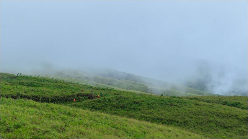 린자니023.jpg