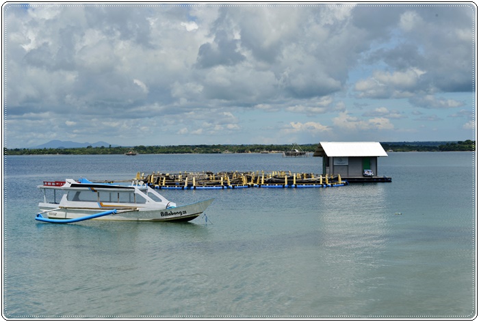 lombok_SIN0255.JPG