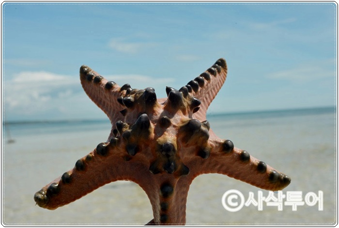 BELITUNG6c05ec42cc23615b254c3d63a15fbb1e.JPG