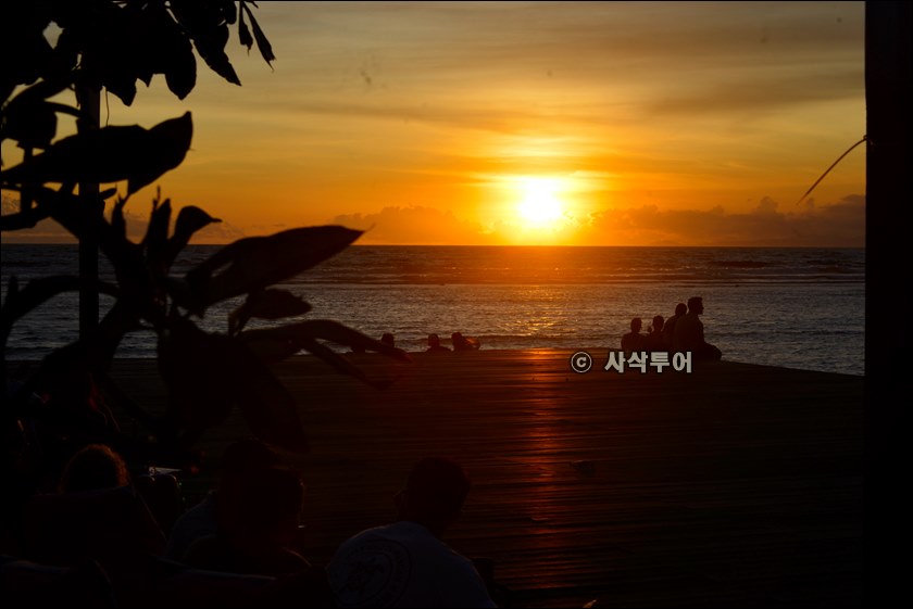 핑크코코025.jpeg
