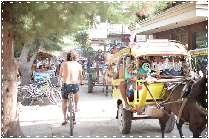 trawanganSIN_2629.JPG