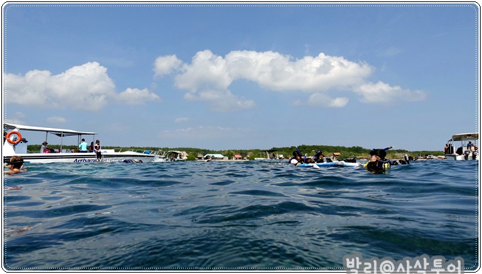700snorkelingDSC04073.JPG