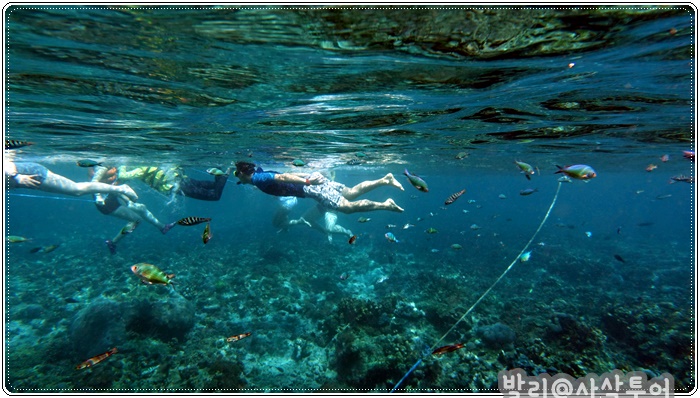 700snorkelingDSC04145.JPG