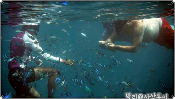 700snorkelingDSC03991.JPG