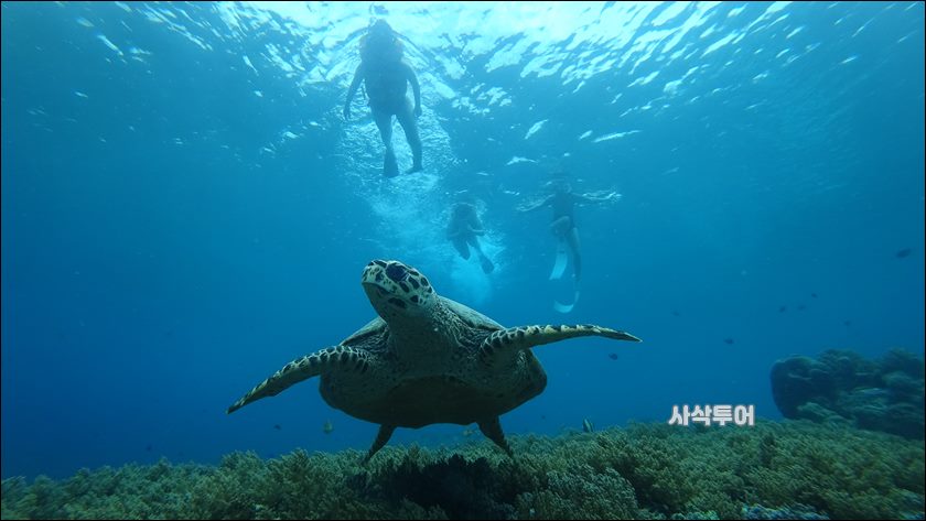 길리투어001.JPG