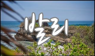 패키지메인002.jpg