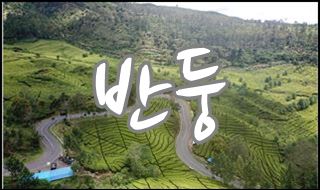 패키지메인007.jpg
