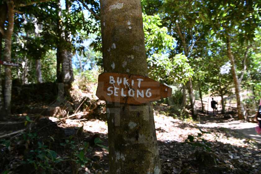 bukit selongDSC_8651.jpg