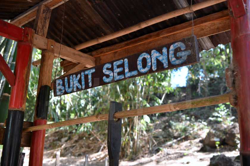 bukit selongDSC_8642.jpg