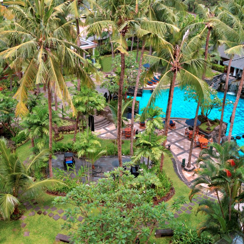 GARDEN &amp; POOL AREA AERIAL.jpg