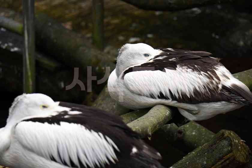 베이비쥬DSC_5660.JPG