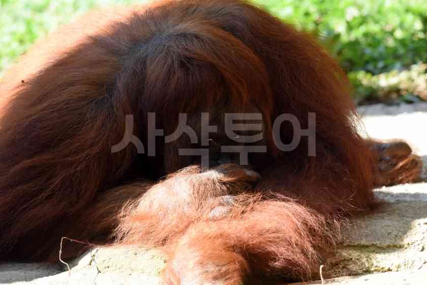 따만전시관DSC_5396.JPG