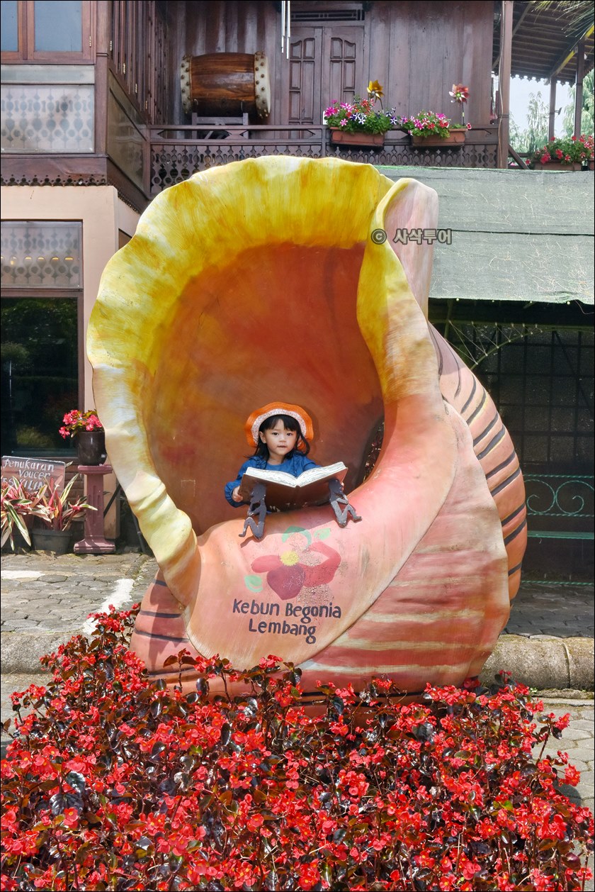 끄분베고니아069.JPG