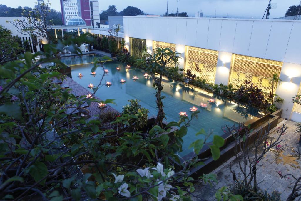 71922921.jpg