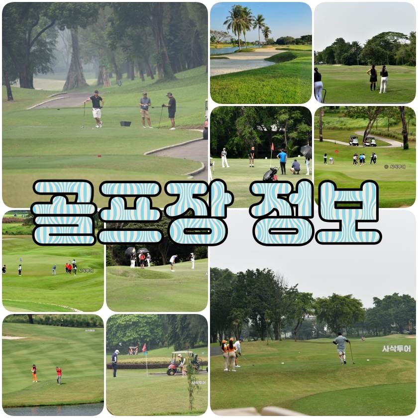 골프장정보.jpg