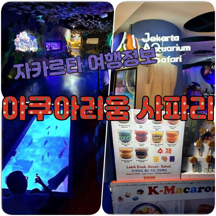 자카르타 아쿠아리움 사파리 - Jakarta Aquarium Safari.jpg