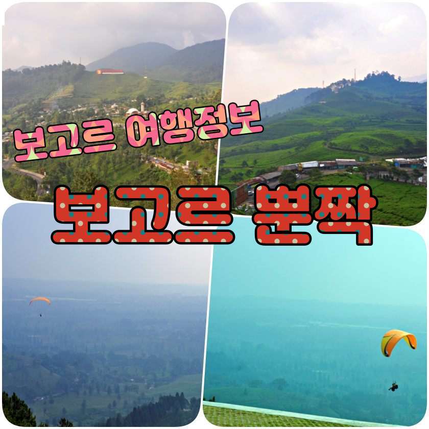 보고르 여행지 - Bogor Puncak.jpg