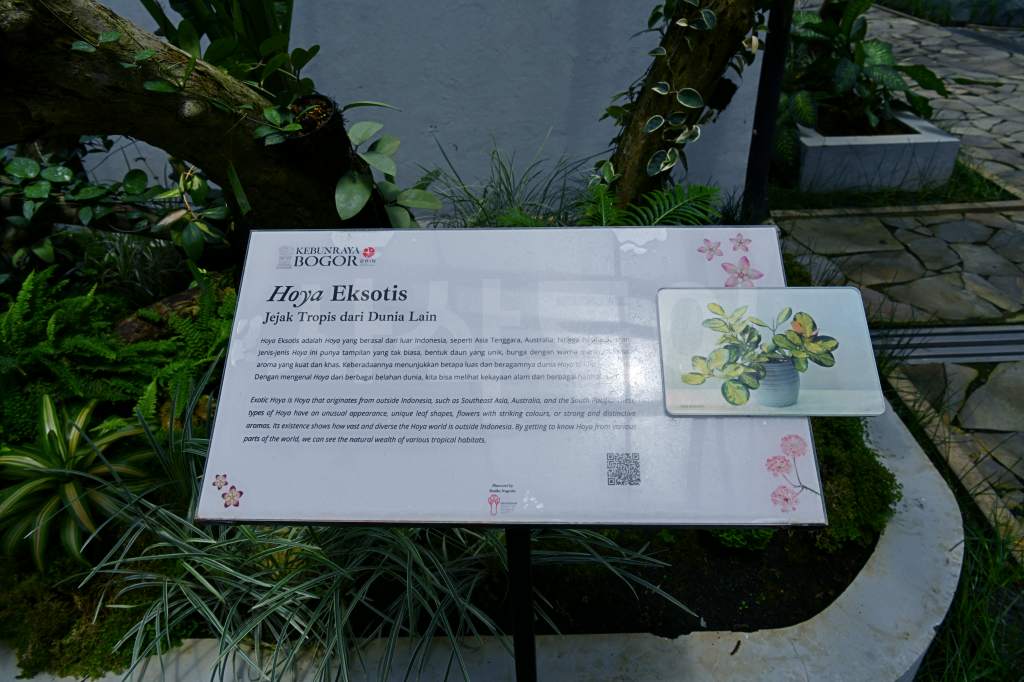 끄본 보고르 라야 DSC_3540.jpg