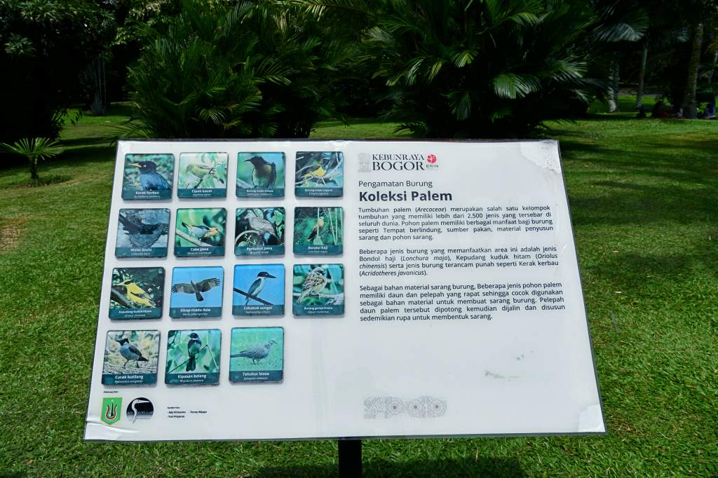 끄본 보고르 라야 DSC_3472.jpg