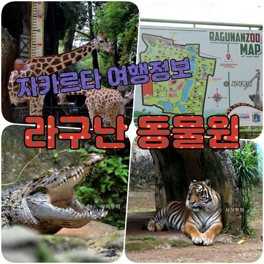 자카르타 동물원 - Taman Margasatwa Ragunan.jpg