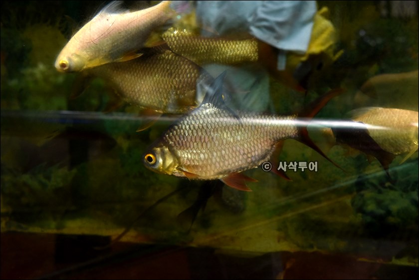 자카르타 동물원112.JPG