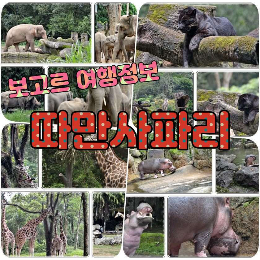 보고르 여행지 - 보고르 따만 사파리 (Taman Safari Bogor).jpg