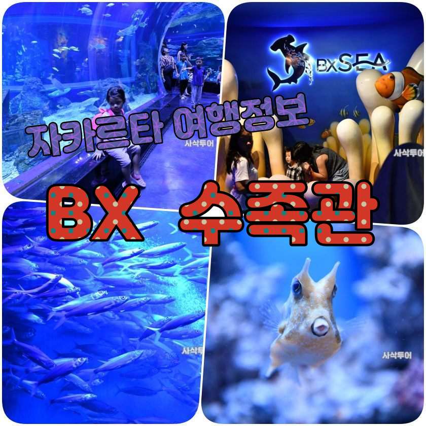 BXSea Aquarium (Bintaro Jaya Xchange 2).jpg