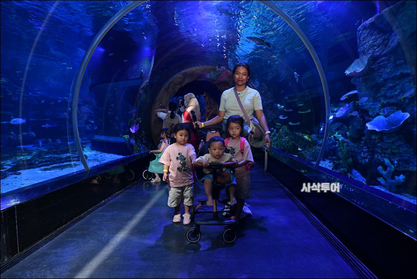 자카르타 수족관235.JPG