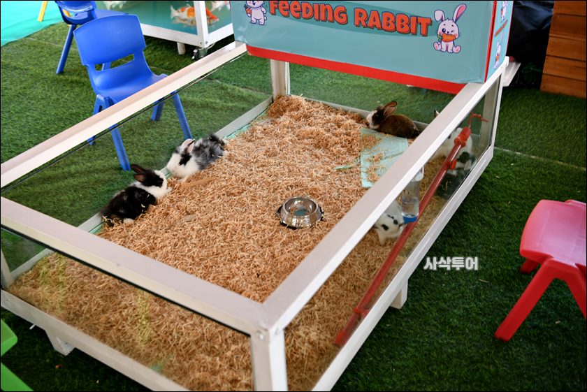 알로하비치041.JPG