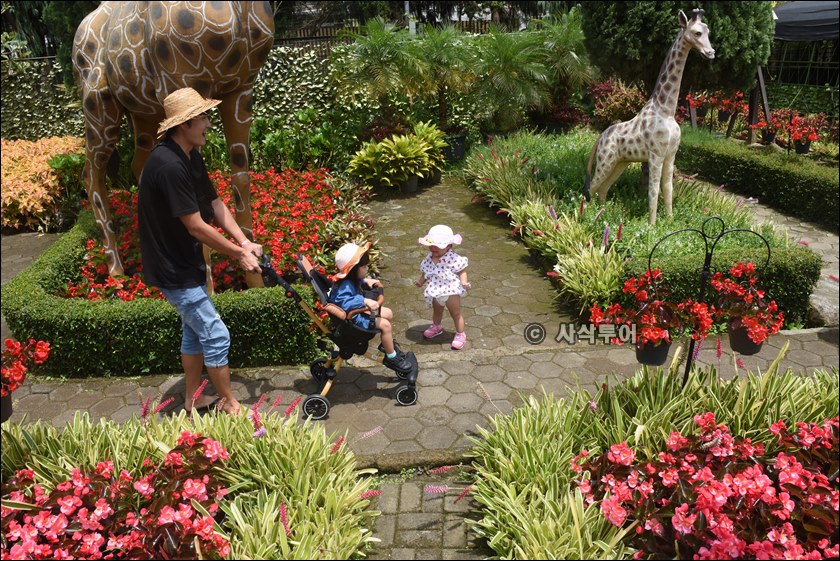taman begonia051.JPG