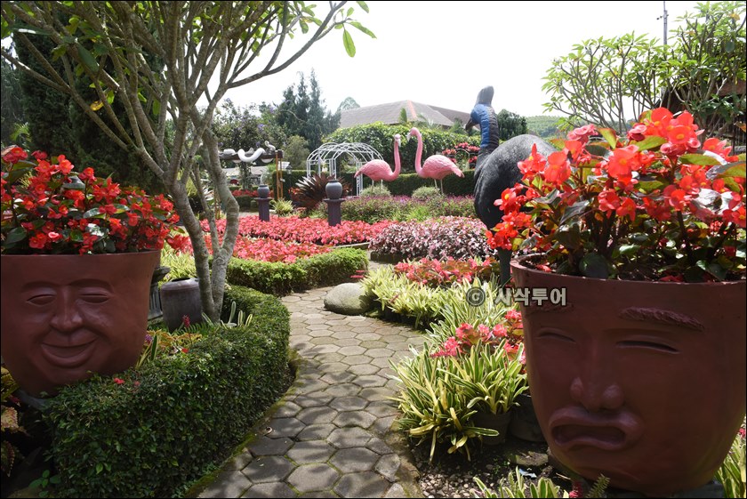 taman begonia047.JPG