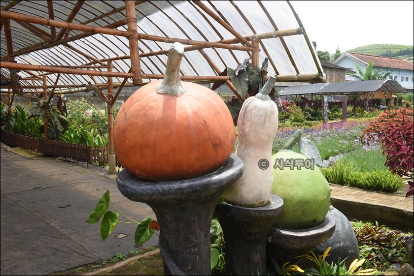 taman begonia107.JPG