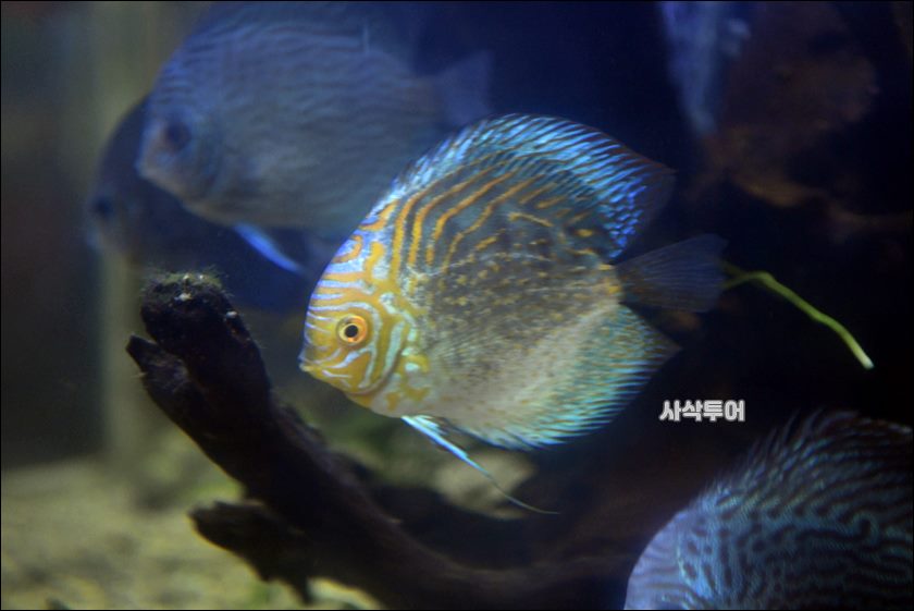 민물박물관211.JPG
