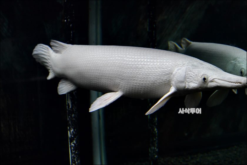 민물박물관388.JPG