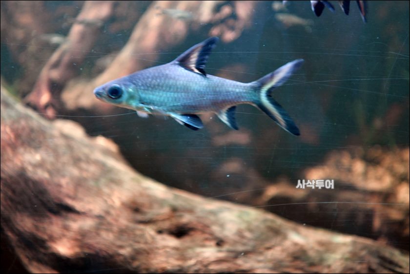 민물박물관100.JPG