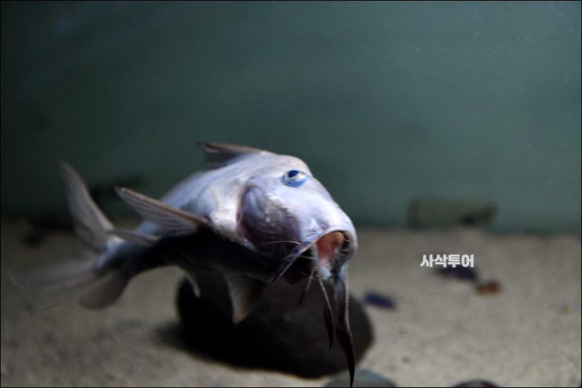민물박물관324.JPG