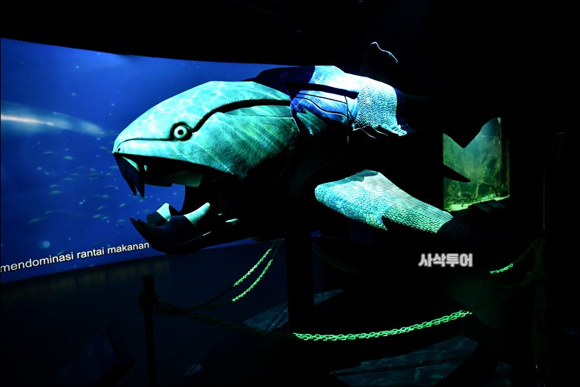 민물박물관012.JPG
