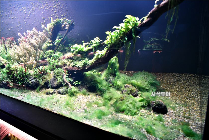 민물박물관022.JPG