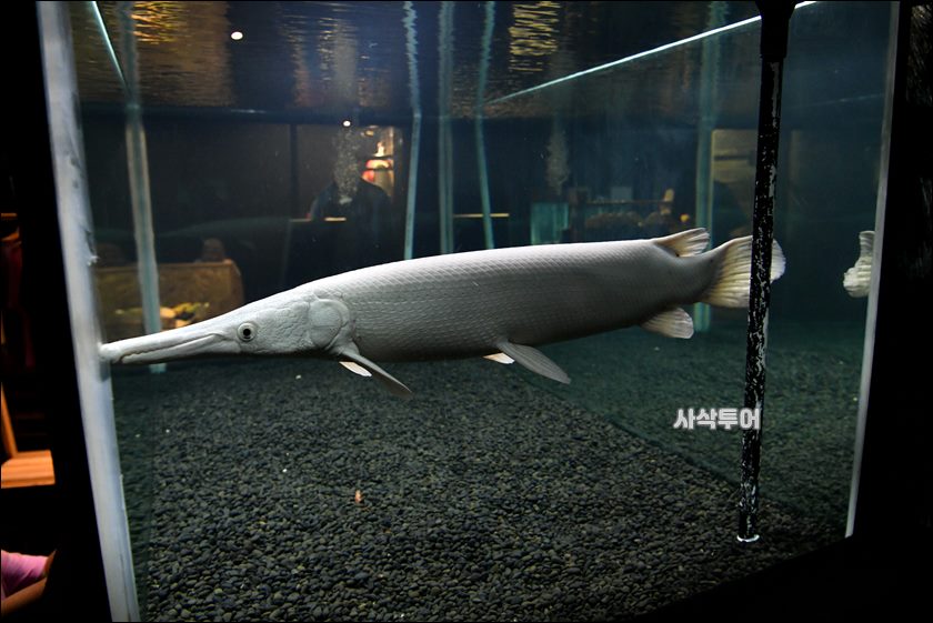민물박물관381.JPG
