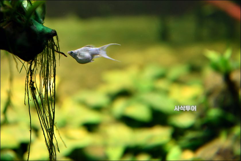 민물박물관027.JPG
