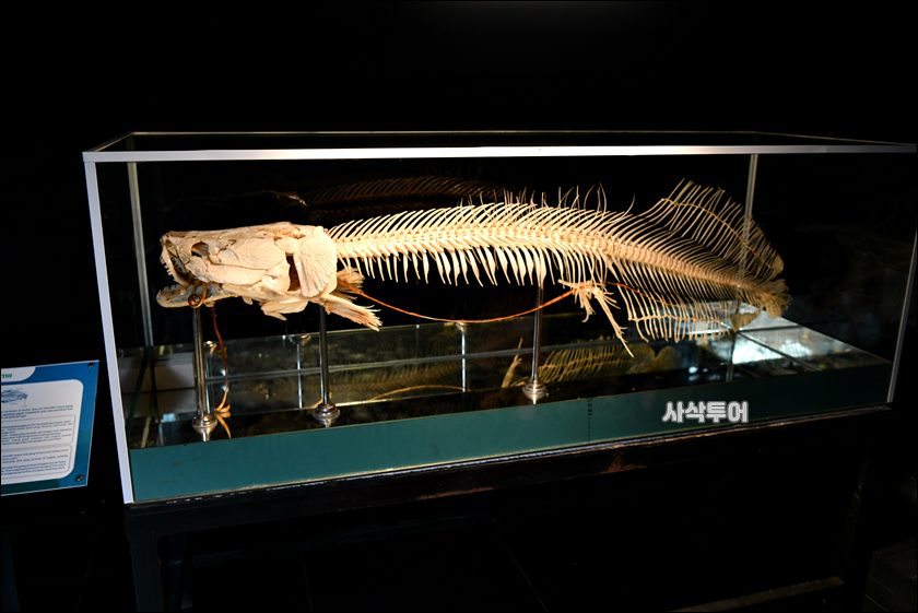 민물박물관032.JPG