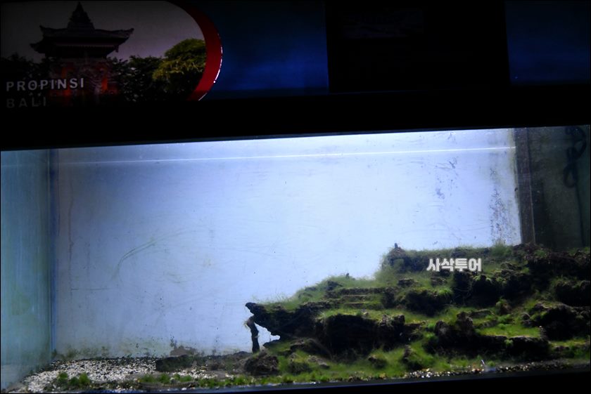 민물박물관258.JPG