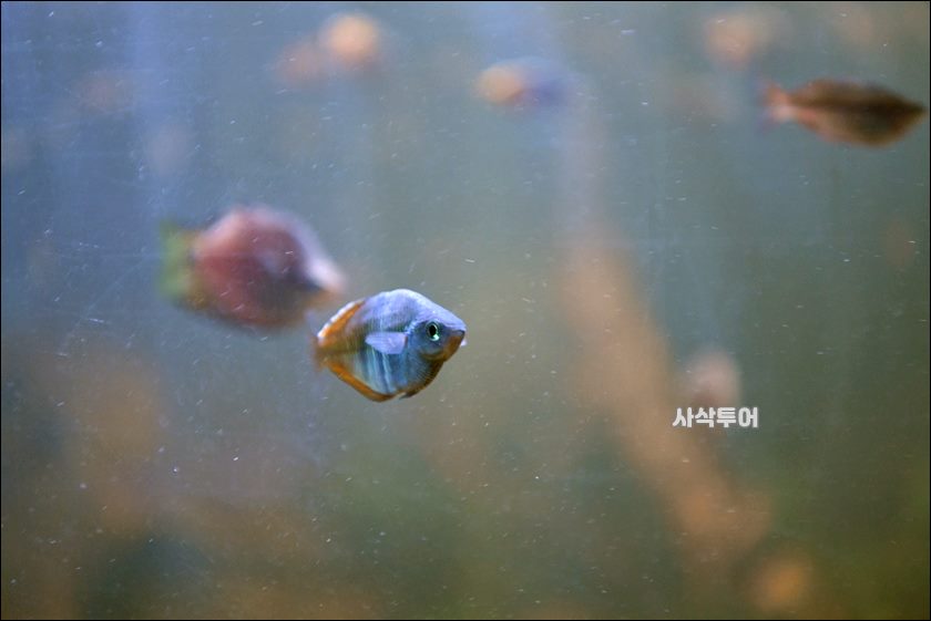 민물박물관193.JPG