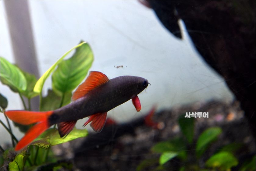 민물박물관335.JPG